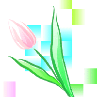 �`���[���b�v